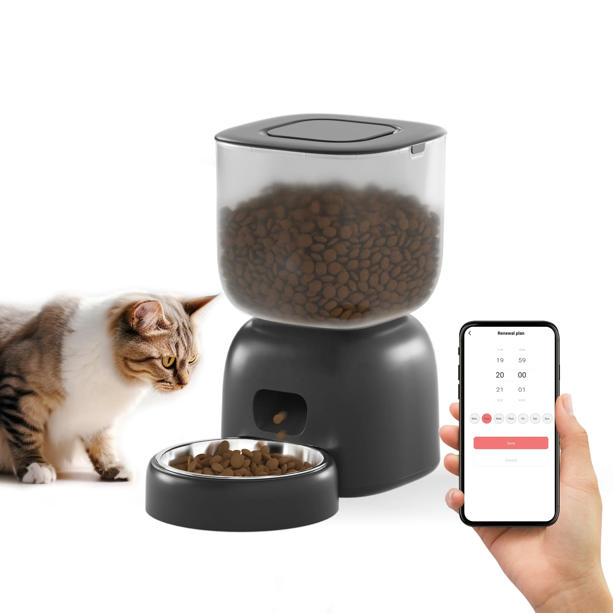 3L WiFi Smart Automatic Pet Feeder with App Control for Cats - Image 4